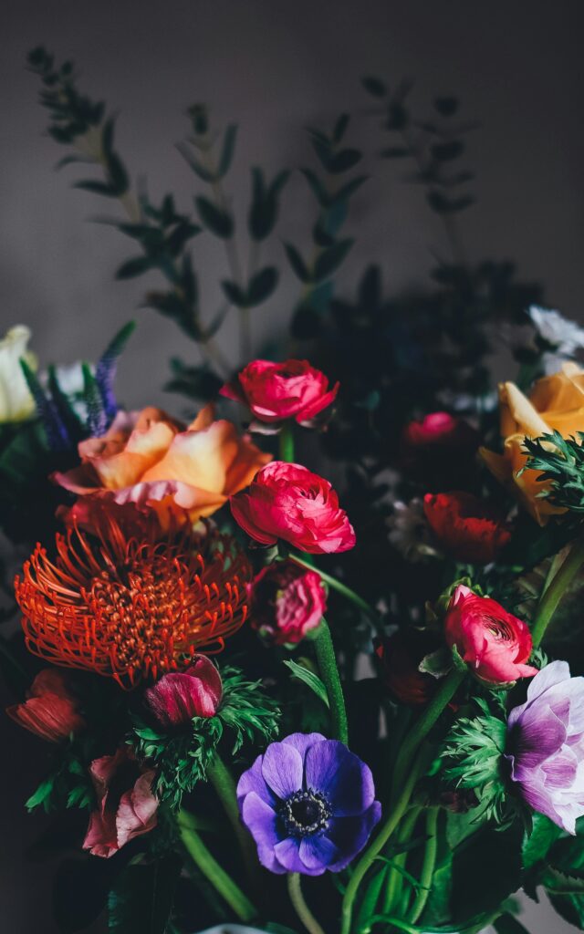 annie-spratt-WBpr_yH0Frg-unsplash